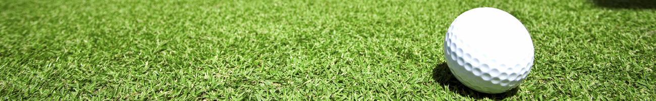 This is a generic image, it is NOT an image of Four Winds Golf Course go-michigan.com Travel Info