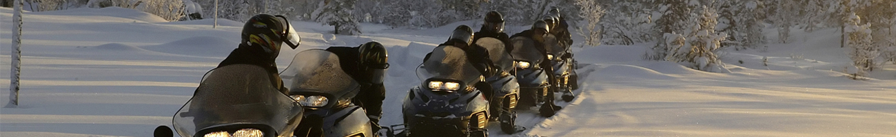 go-michigan.com Travel Info