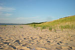 Manistee National Forest